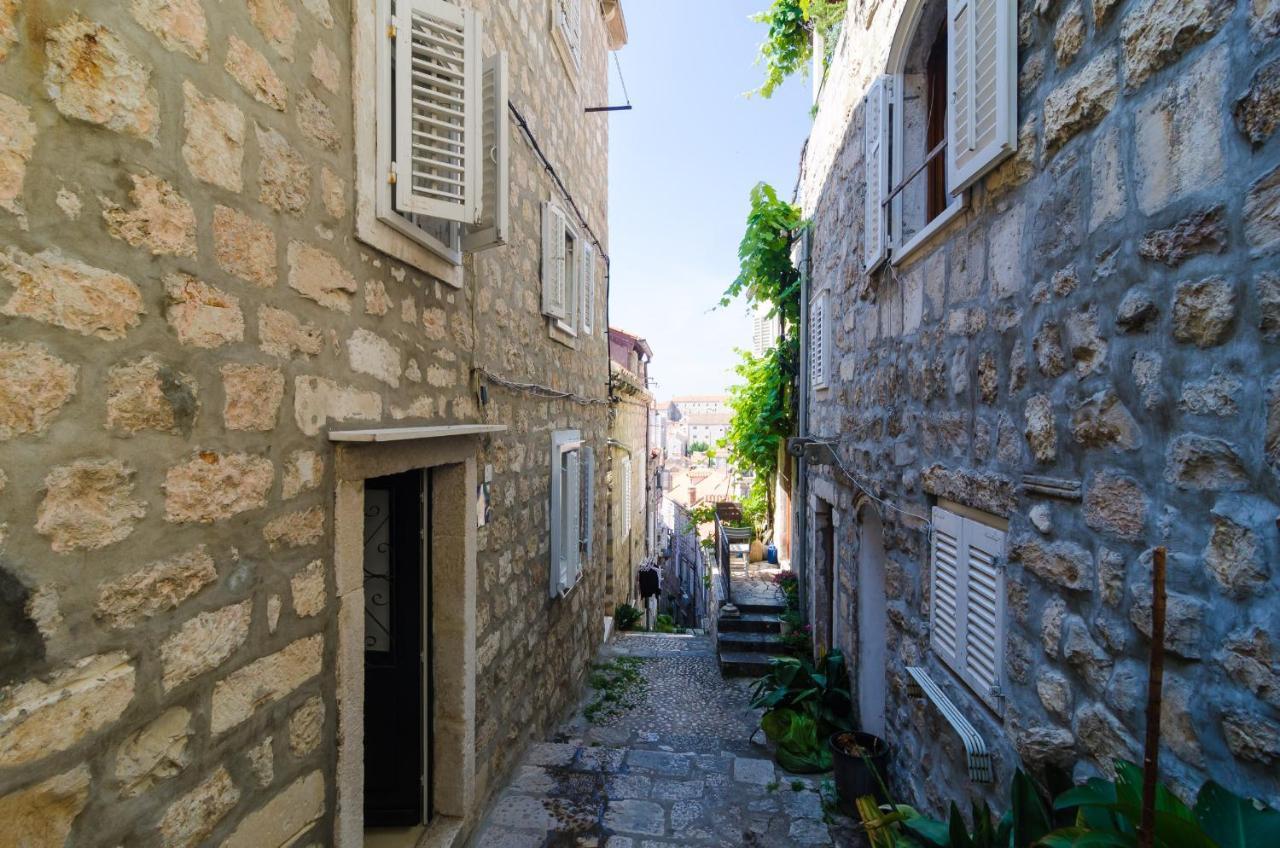 Apartment Domix Dubrovnik Dış mekan fotoğraf